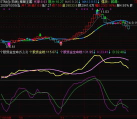 ST钛白002145这只股票怎么样