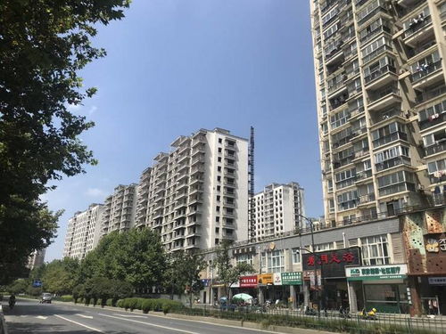 杭州首个大学生人才公寓烂尾10年 一路之隔房价超4万
