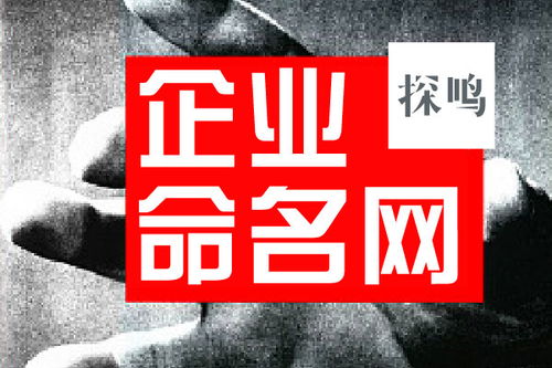 太原品牌取名案例 上海探鸣品牌起名公司 