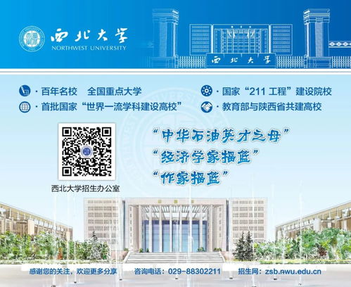 西北大学查重政策解读