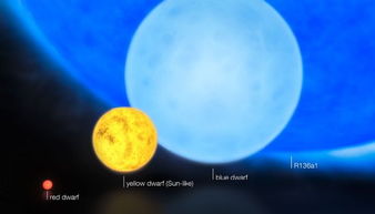 科学家发现史上质量最大恒星 挑战恒星形成理论 