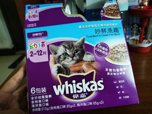 求助,喂野猫应该买什么猫粮 