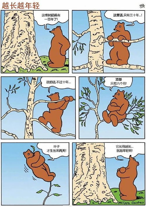 正能量漫画 熊界 阿甘 の大笨熊巴纳比