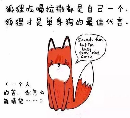 狐狸动画冷知识(狐狸动画短片)