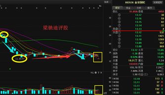 金安国纪复盘后为何一直跌