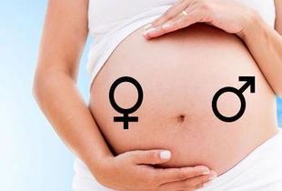 生男生女早知道科学辨别胎儿性别 据说真的很准哦
