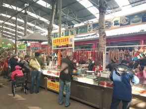 逛一逛北京花鸟鱼虫市场
