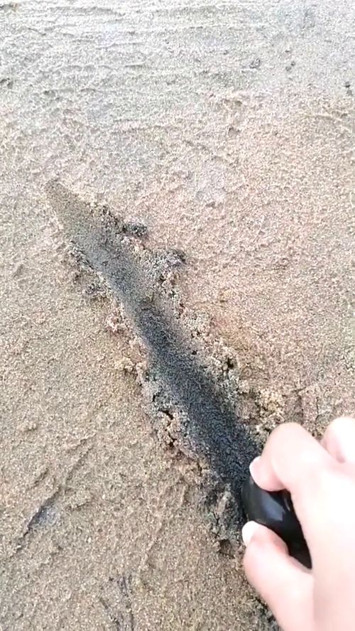 为啥沙子底下是黑色的 