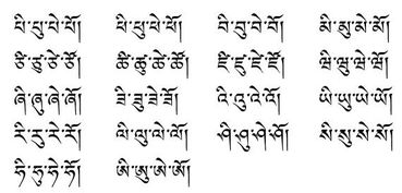 藏文学习词语解释  藏文基础知识点？