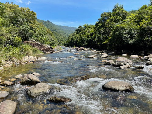 夏天溯溪玩水念念不忘的地儿 