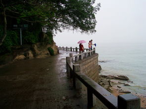 Z1012之厦门鼓浪屿的雨天