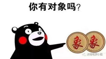 支招单身汪,成双成对