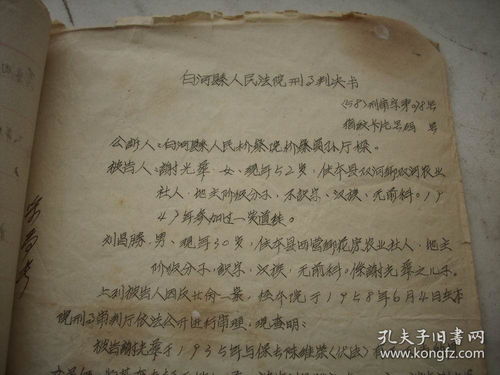 1958年 白河县公安局预审卷 起诉意见书,刑事判决书12面 