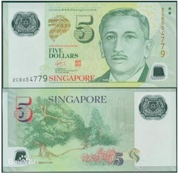 新加坡都流通什么货币