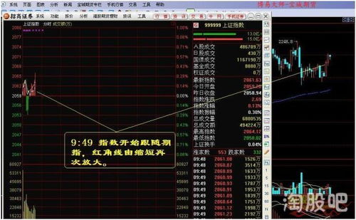 发行股票的基本要求？