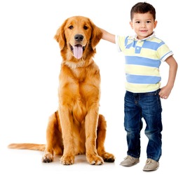 狗狗液体钙 对于幼犬和青少年犬的补钙 