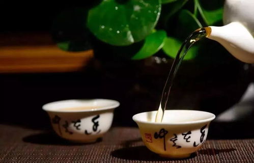 茶与酒,代表中国人的两种性格