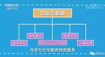 如何计算农民合作社成员入社时实物资产占注册资本的份额？