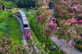 过年没安排 2019春节在武汉的100 种玩法,打败无聊