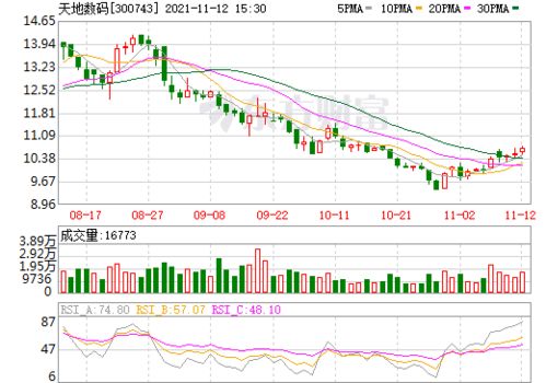 天地数码 股票怎么样