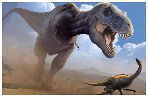霸王龙的亲戚被找到 科学家发现全新物种,它和霸王龙同一祖先