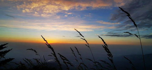 当日出遇见云海,峨眉山的早晨太美了