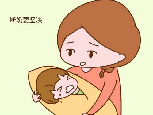 炎黄母婴 科学断奶7步走,让宝宝和母乳和平 分手