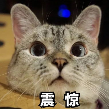表情 猫咪表情包图片 猫咪表情包模板 猫咪表情包设计素材 图怪兽 表情 