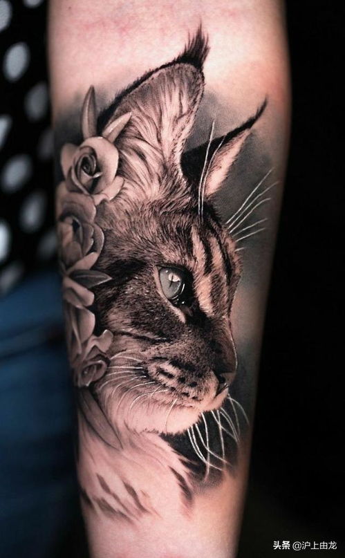 16张猫咪纹身图案