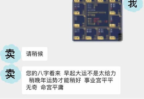 给猫看面相,交钱逆天改命,线上大师算命套路有多深