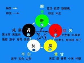 中医五脏与五谷、五神、五情、五味的对应