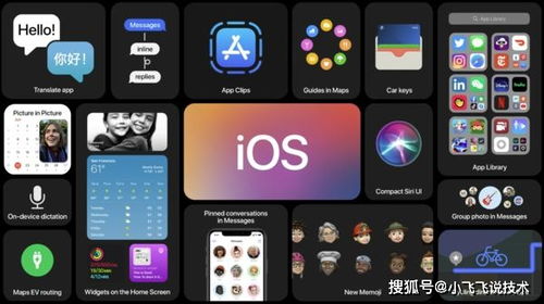 苹果iOS14.5正式版内容曝光,建议所有机型升级