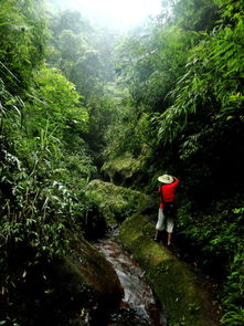 山间小路