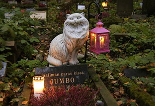 美纽约州解除禁令 允许将主人骨灰放入宠物墓地 