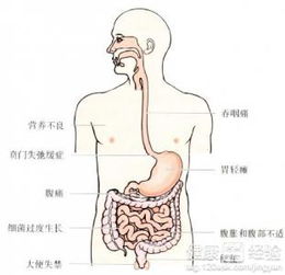 老人有肠梗阻治好后应吃什么为好