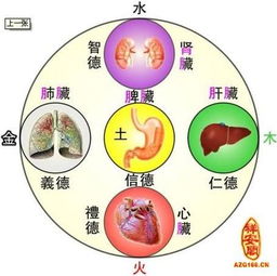 中医五行怎样养生 一 