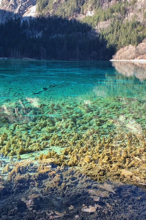 九寨沟的五花海