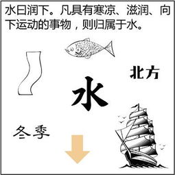 罗氏风水 图解八字命理 