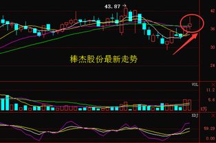 棒杰股份股票怎么样25买的，能"；张上去吗