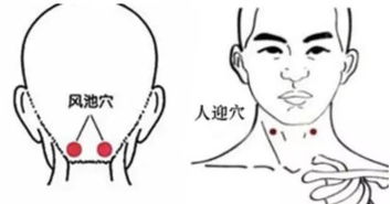 出伏了,修水天气就能凉快了 答案是这样的......