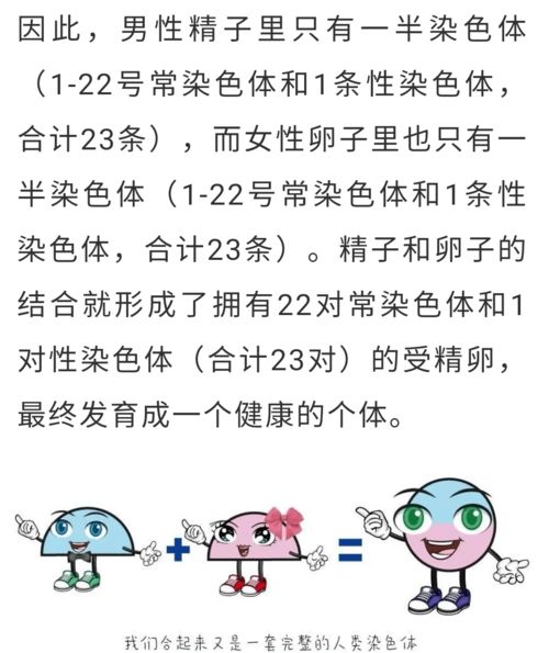 性染色体异常能要孩子吗(性染色体异常还能怀二胎吗)