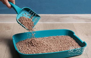 猫砂属于干垃圾还是湿垃圾 猫砂如何处理你造吗