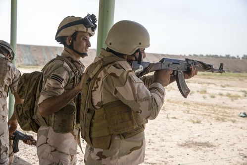 伊拉克两个师曾被800人打败,美国邀请新西兰军人来为其指导