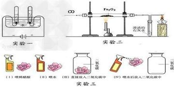 风水何为水(风水的水是指的什么)