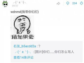 英雄联盟 如果你打职业你会取什么名字 网友 ikun我先取了