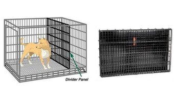 狗狗的笼子越大越好 买狗笼的2个要点,让狗狗更有安全感