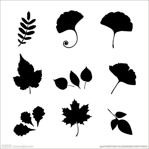 树叶剪影手绘矢量图片 