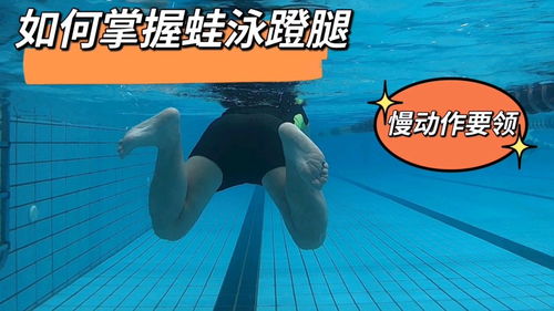 蛙泳蹬腿慢动作技巧要领,掌握这个方法,从此游泳更加轻松省力 