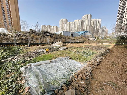 西安一小区旁空地变菜地,城管住建等多部门称不在管理范围内