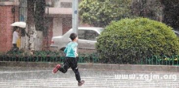 梦见雨中跑步